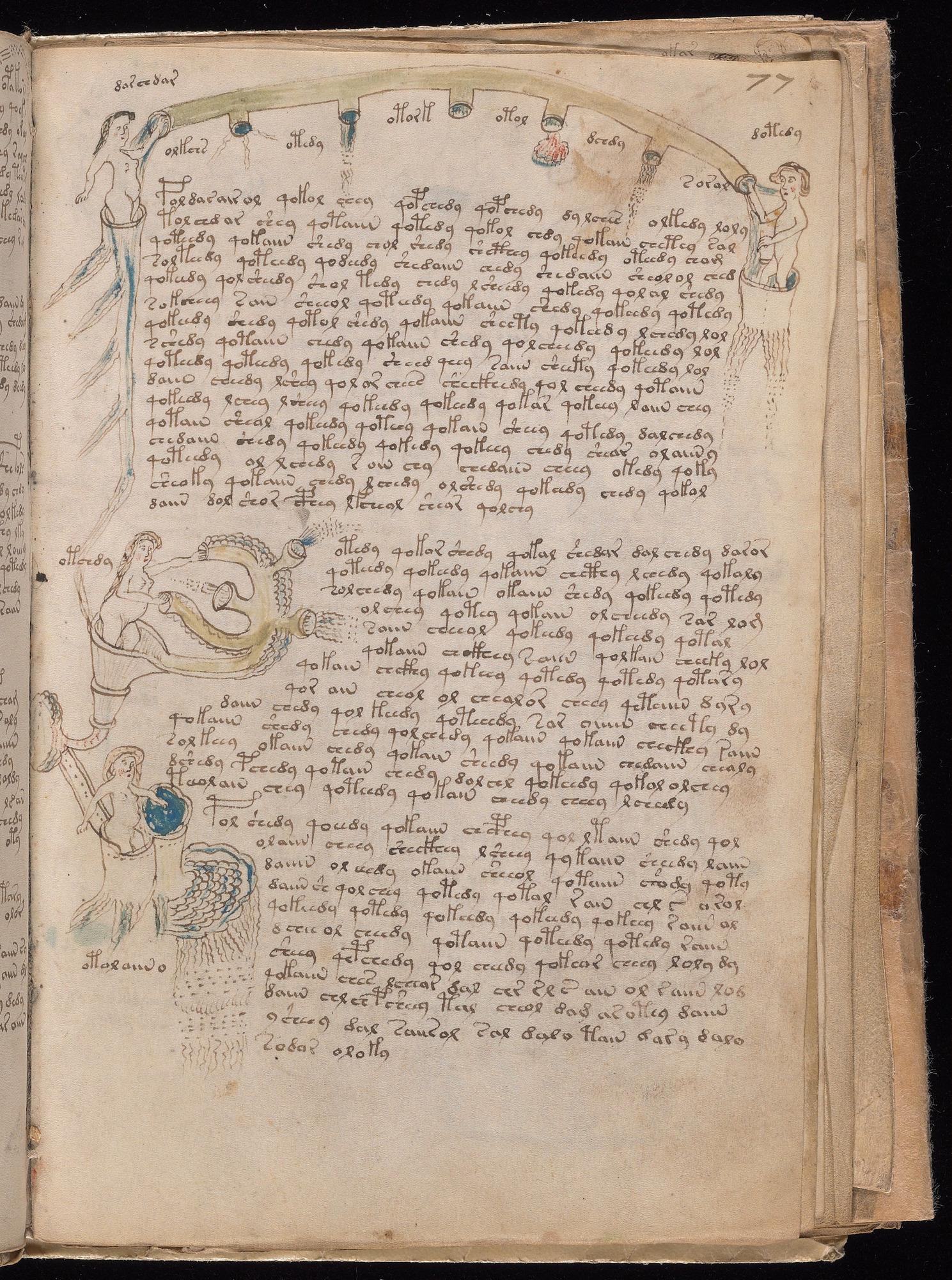 Voynich Manuscript folio f77r — Beinecke MS 408